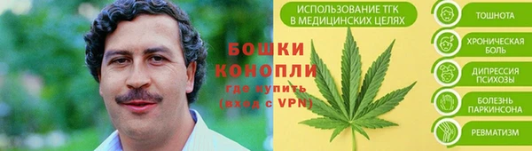 крисы Майский