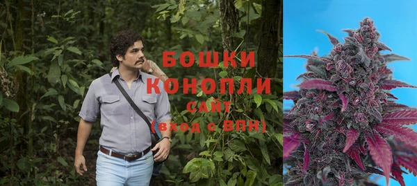 крисы Майский
