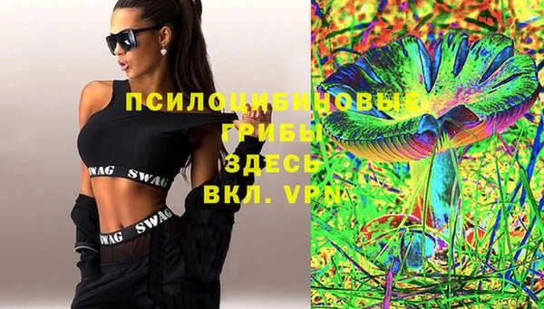 крисы Майский