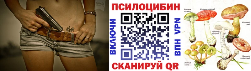 Галлюциногенные грибы Psilocybe  Мегион 