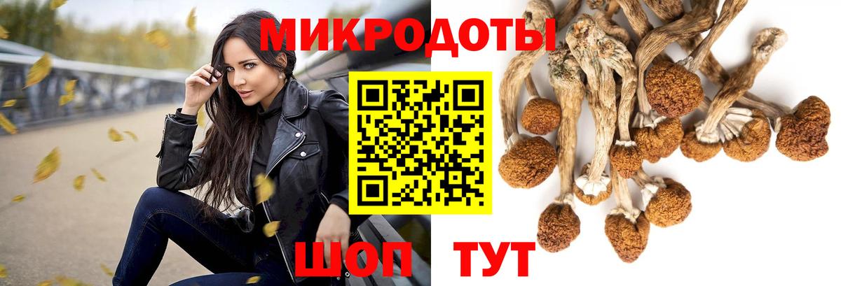 Галлюциногенные грибы Magic Shrooms Мегион