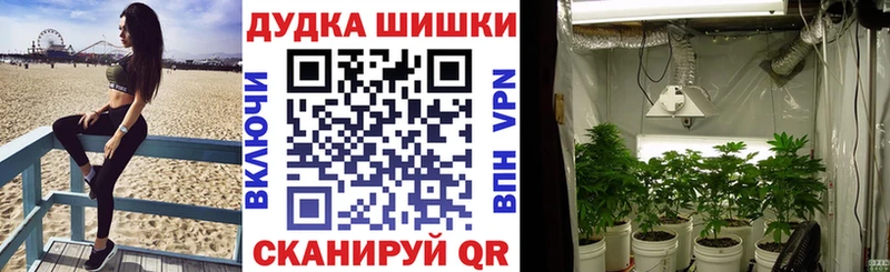 мориарти Telegram  Мегион  Шишки марихуана MAZAR 